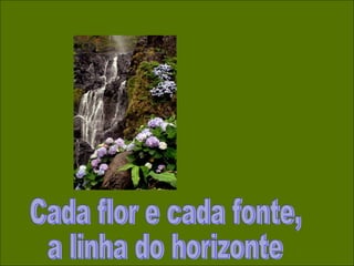 Cada flor e cada fonte, a linha do horizonte 