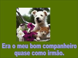Era o meu bom companheiro quase como irmão. 