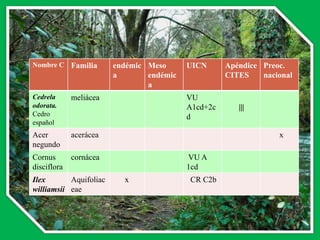 Bosque nublado El B.M.B. es una zona de vida que se encuentra en el país a continuación del B.H.T. se encuentra en todos aquellos departamentos que tengan cordilleras altas como ser francisco Morazán, Comayagua Yoro, cortes, colon, Intibucá la esperanza. es un ecosistema que caracteriza a casi todos los departamentos del territorio nacional    La mayor parte de las tierras de las tierras del bosque muy húmedo montano bajo conservan todavía una cobertura arbórea en estado primitivo en aquellos sitios inaccesibles  Los bosques vírgenes de este ecosistema exhiben una gran exuberancia no solo en el tamaño si no también en la compleja composición florística