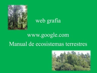Importancias de la conservacion del bosquePor valor ecológico Valor turistico Refugio de fauna El bosque húmedo-Montano Bajo ofrece un clima bastante favorable para la agricultura y ganadería,así como para la producción de maderas y para el establecimiento humano. Ruta migratoria  de especies de aves migratorias