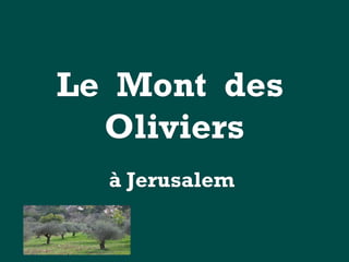 Le Mont desLe Mont des
OliviersOliviers
à Jerusalemà Jerusalem
 