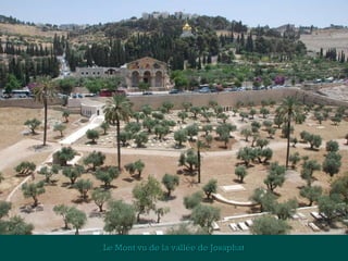 Le Mont vu de la vvaallllééee ddee JJoossaapphhaatt 
 