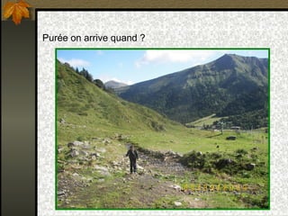 Purée on arrive quand ? 
 