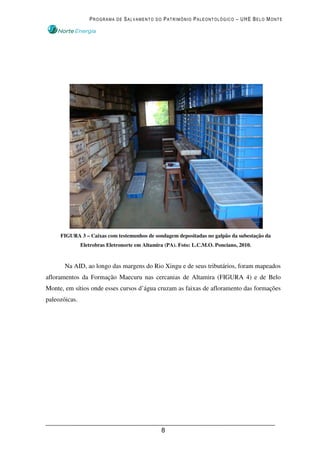PROGRAMA DE SALVAMENTO DO PATRIMÔNIO PALEONTOLÓGICO – UHE BELO MONTE




     FIGURA 3 – Caixas com testemunhos de sondagem depositadas no galpão da subestação da
               Eletrobras Eletronorte em Altamira (PA). Foto: L.C.M.O. Ponciano, 2010.


       Na AID, ao longo das margens do Rio Xingu e de seus tributários, foram mapeados
afloramentos da Formação Maecuru nas cercanias de Altamira (FIGURA 4) e de Belo
Monte, em sítios onde esses cursos d’água cruzam as faixas de afloramento das formações
paleozóicas.




                                                8
 