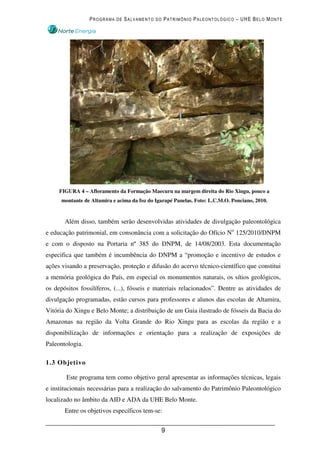 PROGRAMA DE SALVAMENTO DO PATRIMÔNIO PALEONTOLÓGICO – UHE BELO MONTE




     FIGURA 4 – Afloramento da Formação Maecuru na margem direita do Rio Xingu, pouco a
      montante de Altamira e acima da foz do Igarapé Panelas. Foto: L.C.M.O. Ponciano, 2010.


       Além disso, também serão desenvolvidas atividades de divulgação paleontológica
e educação patrimonial, em consonância com a solicitação do Ofício No 125/2010/DNPM
e com o disposto na Portaria nº 385 do DNPM, de 14/08/2003. Esta documentação
especifica que também é incumbência do DNPM a “promoção e incentivo de estudos e
ações visando a preservação, proteção e difusão do acervo técnico-científico que constitui
a memória geológica do País, em especial os monumentos naturais, os sítios geológicos,
os depósitos fossilíferos, (...), fósseis e materiais relacionados”. Dentre as atividades de
divulgação programadas, estão cursos para professores e alunos das escolas de Altamira,
Vitória do Xingu e Belo Monte; a distribuição de um Guia ilustrado de fósseis da Bacia do
Amazonas na região da Volta Grande do Rio Xingu para as escolas da região e a
disponibilização de informações e orientação para a realização de exposições de
Paleontologia.

1.3 Objetivo

        Este programa tem como objetivo geral apresentar as informações técnicas, legais
e institucionais necessárias para a realização do salvamento do Patrimônio Paleontológico
localizado no âmbito da AID e ADA da UHE Belo Monte.
       Entre os objetivos específicos tem-se:


                                               9
 