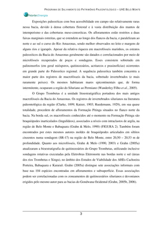 PROGRAMA DE SALVAMENTO DO PATRIMÔNIO PALEONTOLÓGICO – UHE BELO MONTE



       Exposições paleozóicas com boa acessibilidade em campo são relativamente raras
nessa bacia, devido à densa cobertura florestal e à vasta distribuição dos mantos de
intemperismo e das coberturas meso-cenozóicas. Os afloramentos estão restritos a duas
faixas marginais estreitas, que se estendem ao longo dos flancos da bacia, e paralelizam ao
norte e ao sul o curso do Rio Amazonas, sendo melhor observados no leito e margens de
alguns rios e igarapés. Apesar da relativa riqueza em macrofósseis marinhos, os estratos
paleozóicos da Bacia do Amazonas geralmente são datados e correlacionados por meio de
microfósseis recuperados de poços e sondagens. Esses consistem sobretudo em
palinomorfos (em geral miósporos, quitinozoários, acritarcos e prasinofícias) ocorrentes
em grande parte do Paleozóico regional. A sequência paleozóica também concentra a
maior parte dos registros de macrofósseis da bacia, sobretudo invertebrados (e mais
raramente peixes). Os mesmos habitaram mares epicontinentais que, de forma
intermitente, ocuparam a região do Siluriano ao Permiano (Wanderley Filho et al., 2005).
       O Grupo Trombetas é a unidade litoestratigráfica portadora dos mais antigos
macrofósseis da Bacia do Amazonas. Os registros de invertebrados silurianos na literatura
paleontológica da região (Clarke, 1899; Katzer, 1903; Ruedemann, 1929), em sua quase
totalidade, procedem de afloramentos da Formação Pitinga situados no flanco norte da
bacia. Na borda sul, os macrofósseis conhecidos até o momento na Formação Pitinga são
braquiópodes inarticulados (lingulídeos), associados a níveis com intraclastos de argila, na
região de Belo Monte e Babaquara (Grahn & Melo, 1990) (FIGURA 2). Também foram
encontrados por estes mesmos autores moldes de braquiópodes articulados em siltitos
cinzentos numa sondagem (SR-17) na região de Belo Monte, entre 20,50 – 20,53 m de
profundidade. Quanto aos microfósseis, Grahn & Melo (1990, 2003) e Grahn (2005a)
atualizaram a bioestratigrafia de quitinozoários do Grupo Trombetas, utilizando inclusive
sondagens rotativas executadas pela Eletrobras Eletronorte nas bordas norte e sul (áreas
dos rios Trombetas e Xingu), no âmbito dos Estudos de Viabilidade dos AHEs Cachoeira
Porteira, Babaquara e Kararaô. Grahn (2005a) distingue sete associações informais com
base nas 104 espécies encontradas em afloramentos e subsuperfície. Essas associações
podem ser correlacionadas com os zoneamentos de quitinozoários silurianos e devonianos
erigidos pelo mesmo autor para as bacias do Gondwana Ocidental (Grahn, 2005b, 2006).




                                             3
 