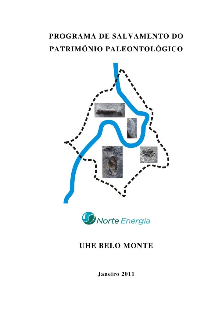 Monte programa EIA