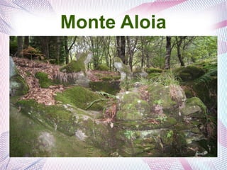 Monte Aloia
 