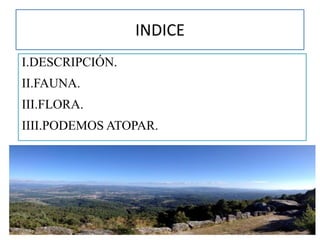 INDICE
I.DESCRIPCIÓN.
II.FAUNA.
III.FLORA.
IIII.PODEMOS ATOPAR.
 