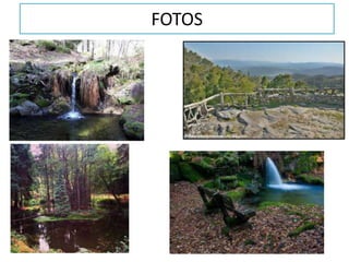 FOTOS
 