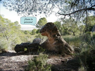 ¡Hasta la próxima! 