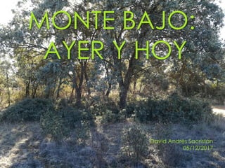 MONTE BAJO:
AYER Y HOY
David Andrés Sacristán
05/12/2017
 
