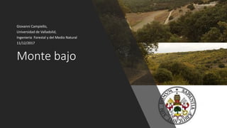 Giovanni Campiello,
Universidad de Valladolid,
Ingenieria Forestal y del Medio Natural
11/12/2017
Monte bajo
 