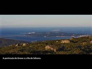 A península do Grove e a illa de Sálvora.

 