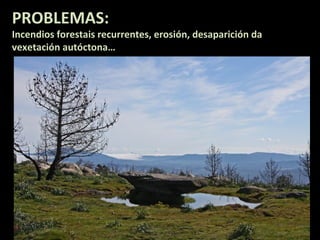 PROBLEMAS:

Incendios forestais recurrentes, erosión, desaparición da
vexetación autóctona…

 