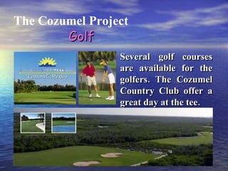 The Cozumel Project Several golf courses are available for the golfers. The Cozumel Country Club offer a great day at the tee. Golf 