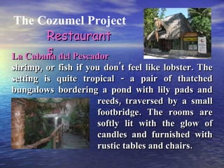 The Cozumel Project Restaurants La Cabana del Pescador shrimp, or fish if you don't feel like lobster. The setting is quite tropical - a pair of thatched bungalows bordering a pond with lily pads and ……… reeds, traversed by a small footbridge. The rooms are softly lit with the glow of candles and furnished with rustic tables and chairs. 