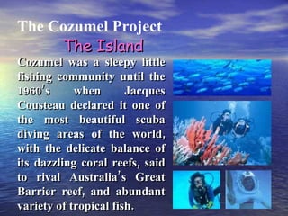 Cozumel was a sleepy little fishing community until the 1960’s when Jacques Cousteau declared it one of the most beautiful scuba diving areas of the world, with the delicate balance of its dazzling coral reefs, said to rival Australia’s Great Barrier reef, and abundant variety of tropical fish. The Cozumel Project The Island 