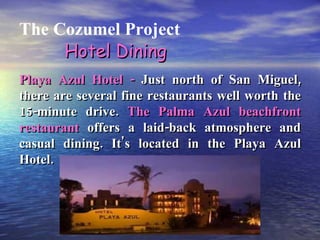 The Cozumel Project Playa Azul Hotel -  Just north of San Miguel, there are several fine restaurants well worth the 15-minute drive.  The Palma Azul beachfront restaurant  offers a laid-back atmosphere and casual dining. It's located in the Playa Azul Hotel. Hotel Dining 