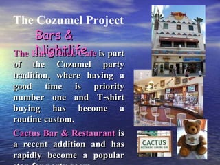The Cozumel Project The Hard Rock Cafe   is part of the Cozumel party tradition, where having a good time is priority number one and T-shirt buying has become a routine custom. Cactus Bar & Restaurant  is a recent addition and has rapidly become a popular stop for party goers. Bars & Nightlife 