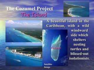 A beautiful island in the Caribbean, with a wild …... The Cozumel Project The Island Satellite Image Cozumel windward side which shelters nesting turtles and blissed-out isolationists. 