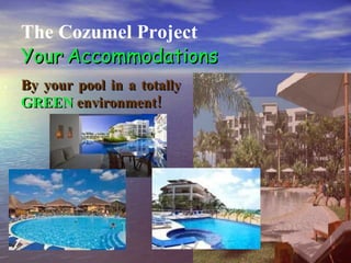. The Cozumel Project Your   Accommodations By your pool in a totally   GREEN   environment! 