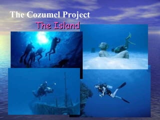 The Cozumel Project The Island 