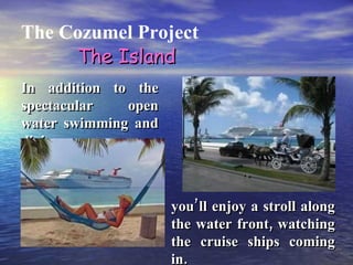 The Cozumel Project In addition to the spectacular open water swimming and diving, you’ll enjoy a stroll along the water front, watching the cruise ships coming in. The Island 