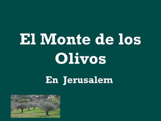 El Monte de los
Olivos
En Jerusalem

 