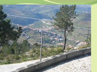 Monte de s. domingos