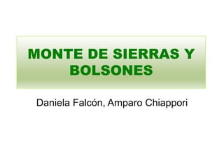 MONTE DE SIERRAS Y 
BOLSONES 
Daniela Falcón, Amparo Chiappori 
 