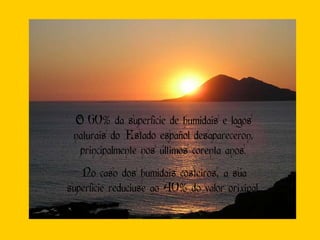 O 60% da superficie de humidais e lagos naturais do Estado español desapareceron, principalmente nos últimos corenta anos. No caso dos humidais costeiros, a súa superficie reduciuse ao 40% do valor orixinal. 