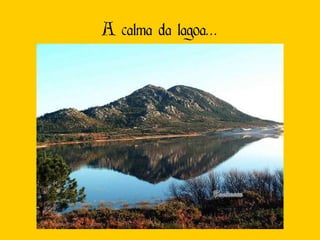 A calma da lagoa… 