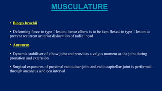 MUSCULATURE
• Biceps brachii
• Deforming force in type 1 lesion, hence elbow is to be kept flexed in type 1 lesion to
prevent recurrent anterior dislocation of radial head
• Anconeus
• Dynamic stabiliser of elbow joint and provides a valgus moment at the joint during
pronation and extension
• Surgical exposures of proximal radioulnar joint and radio capitellar joint is performed
through anconeus and ecu interval
 