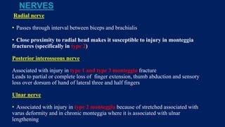 NERVES
Radial nerve
• Passes through interval between biceps and brachialis
• Close proximity to radial head makes it susceptible to injury in monteggia
fractures (specifically in type 2)
Posterior interosseous nerve
Associated with injury in type 1 and type 3 monteggia fracture
Leads to partial or complete loss of finger extension, thumb abduction and sensory
loss over dorsum of hand of lateral three and half fingers
Ulnar nerve
• Associated with injury in type 2 monteggia because of stretched associated with
varus deformity and in chronic monteggia where it is associated with ulnar
lengthening
 
