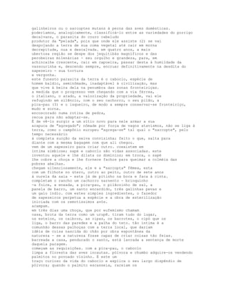 galinheiros ou o sarcoptes mutans à perna das aves domésticas.
poderíamos, analogicamente, classificá-lo entre as variedades do porrigo
decalvans, o parasita do couro cabeludo
produtor da "pelada", pois que onde ele assiste (2) se vai
despojando a terra de sua coma vegetal até cair em morna
decrepitude, nua e descalvada. em quatro anos, a mais
ubertosa região se despe dos jequitibás magníficos e das
perobeiras milenárias - seu orgulho e grandeza, para, em
achincalhe crescente, cair em capoeira, passar desta à humildade da
vassourinha e, descendo sempre, encruar definitivamente na desdita do
sapezeiro - sua tortura
e vergonha.
este funesto parasita da terra é o caboclo, espécie de
homem baldio, seminômade, inadaptável à civilização, mas
que vive à beira dela na penumbra das zonas fronteiriças.
a medida que o progresso vem chegando com a via férrea,
o italiano, o arado, a valorização da propriedade, vai ele
refugindo em silêncio, com o seu cachorro, o seu pilão, a
pica-pau (3) e o isqueiro, de modo a sempre conservar-se fronteiriço,
mudo e sorna.
encoscorado numa rotina de pedra,
recua para não adaptar-se.
É de vê-lo surgir a um sítio novo para nele armar a sua
arapuca de "agregado"; nômade por força de vagos atavismos, não se liga à
terra, como o campônio europeu "agrega-se" tal qual o "sarcopte", pelo
tempo necessário
à completa sucção da seiva convizinha; feito o que, salta para
diante com a mesma bagagem com que ali chegou.
vem de um sapezeiro para criar outro. coexistem em
íntima simbiose; sapé e caboclo são vidas associadas. este
inventou aquele e lhe dilata os domínios; em troca, o sapé
lhe cobre a choça e lhe fornece fachos para queimar a colméia das
pobres abelhas.
chegam silenciosamente, ele e a "sarcopta" fêmea, esta
com um filhote no útero, outro ao peito, outro de sete anos
à ourela da saia - este já de pitinho na boca e faca à cinta.
completam o rancho um cachorro sarnento - brinquinho
-a foice, a enxada, a pica-pau, o pilãozinho de sal, a
panela de barro, um santo encardido, três galinhas pevas e
um galo índio. com estes simples ingredientes, o fazedor
de sapezeiros perpetua a espécie e a obra de esterilização
iniciada com os remotíssimos avós.
acampam.
em três dias uma choça, que por eufemismo chamam
casa, brota da terra como um urupê. tiram tudo do lugar,
os esteios, os caibros, as ripas, os barrotes, o cipó que os
liga, o barro das paredes e a palha do teto. tão íntima é a
comunhão dessas palhoças com a terra local, que dariam
idéia de coisa nascida do chão por obra espontânea da
natureza - se a natureza fosse capaz de criar coisas tão feias.
barreada a casa, pendurado o santo, está lavrada a sentença de morte
daquela paragem.
começam as requisições. com a pica-pau, o caboclo
limpa a floresta das aves incautas. pólvora e chumbo adquire-os vendendo
palmitos no povoado vizinho. É este um
traço curioso da vida do caboclo e explica o seu largo dispêndio de
pólvora; quando o palmito escasseia, rareiam os
 