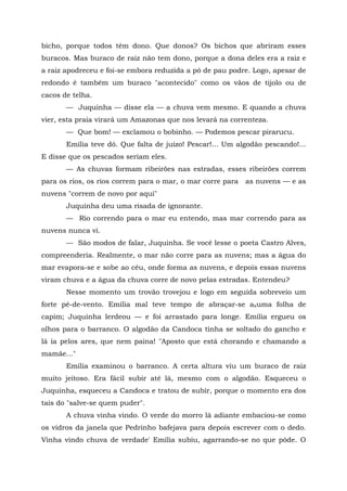 bicho, porque todos têm dono. Que donos? Os bichos que abriram esses
buracos. Mas buraco de raiz não tem dono, porque a dona deles era a raiz e
a raiz apodreceu e foi-se embora reduzida a pó de pau podre. Logo, apesar de
redondo é também um buraco "acontecido" como os vãos de tijolo ou de
cacos de telha.
       — Juquinha — disse ela — a chuva vem mesmo. E quando a chuva
vier, esta praia virará um Amazonas que nos levará na correnteza.
       — Que bom! — exclamou o bobinho. — Podemos pescar pirarucu.
       Emília teve dó. Que falta de juízo! Pescar!... Um algodão pescando!...
E disse que os pescados seriam eles.
       — As chuvas formam ribeirões nas estradas, esses ribeirões correm
para os rios, os rios correm para o mar, o mar corre para   as nuvens — e as
nuvens "correm de novo por aqui"
       Juquinha deu uma risada de ignorante.
       — Rio correndo para o mar eu entendo, mas mar correndo para as
nuvens nunca vi.
       — São modos de falar, Juquinha. Se você lesse o poeta Castro Alves,
compreenderia. Realmente, o mar não corre para as nuvens; mas a água do
mar evapora-se e sobe ao céu, onde forma as nuvens, e depois essas nuvens
viram chuva e a água da chuva corre de novo pelas estradas. Entendeu?
       Nesse momento um trovão trovejou e logo em seguida sobreveio um
forte pé-de-vento. Emília mal teve tempo de abraçar-se axuma folha de
capim; Juquinha lerdeou — e foi arrastado para longe. Emília ergueu os
olhos para o barranco. O algodão da Candoca tinha se soltado do gancho e
lá ia pelos ares, que nem paina! "Aposto que está chorando e chamando a
mamãe..."
       Emília examinou o barranco. A certa altura viu um buraco de raiz
muito jeitoso. Era fácil subir até lá, mesmo com o algodão. Esqueceu o
Juquinha, esqueceu a Candoca e tratou de subir, porque o momento era dos
tais do "salve-se quem puder".
       A chuva vinha vindo. O verde do morro lá adiante embaciou-se como
os vidros da janela que Pedrinho bafejava para depois escrever com o dedo.
Vinha vindo chuva de verdade' Emília subiu, agarrando-se no que pôde. O
 