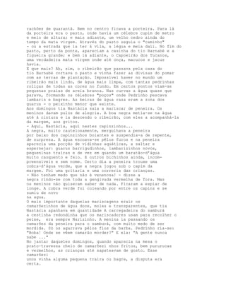 rachões de guarantã. Bem no centro ficava a porteira. Para lá
da porteira era o pasto, onde havia um célebre cupim de metro
e meio de altura; e mais adiante, um velho cedro ainda do
tempo da mata virgem. Através do pasto seguia o "caminho"
- ou a estrada que ia ter à vila, a légua e meia dali. No fim do
pasto, perto da ponte, apareciam a casinha do tio Barnabé e a
figueira grande; e bem lá adiante, o Capoeirão dos Tucanos,
uma verdadeira mata virgem onde até onça, macucos e jacus
havia.
E que mais? Ah, sim, o ribeirão que passava pela casa do
tio Barnabé cortava o pasto e vinha fazer as divisas do pomar
com as terras de plantação. Impossível haver no mundo um
ribeirão mais lindo, de água mais limpa, com tantas pedrinhas
roliças de todas as cores no fundo. Em certos pontos viam-se
pequenas praias de areia branca. Nas curvas a água quase que
parava, formando os célebres "poços" onde Pedrinho pescava
lambaris e bagres. As beiras de água rasa eram a zona dos
guarus - o peixinho menor que existe.
Aos domingos tia Nastácia saía a mariscar de peneira. Os
meninos davam pulos de alegria. A boa negra metia-se na água
até à cintura e ia descendo o ribeirão, com eles a acompanhá-la
da margem, aos gritos.
- Aqui, Nastácia, aqui nestes capinzinhos...
A negra, muito cautelosamente, mergulhava a peneira
por baixo dos capinzinhos boiantes e suspendia-a de repente,
de surpresa. A água escoava-se pêlos furos e na peneira
aparecia uma porção de vidinhas aquáticas, a saltar e
espernejar: guarus barrigudinhos, lambarizinhos novos,
pequeninas traíras e de vez em quando um baratão-d'água
muito casquento e feio. E outros bichinhos ainda, incom-
preensíveis e sem nome. Certo dia a peneira trouxe uma
cobra-d'água verde, que a negra jogou sob o capim da
margem. Foi uma gritaria e uma correria das crianças.
- Não tenham medo que não é venenosa! - disse a
negra rindo-se com toda a gengivada vermelha de fora. Mas
os meninos não quiseram saber de nada. Ficaram a espiar de
longe. A cobra verde foi coleando por entre os capins e se
sumiu de novo
na agua.
O mais importante daquelas mariscagens erair os
camarõezinhos de água doce, moles e transparentes, que tia
Nastácia apanhava em quantidade A carregadeira do samburá
a cestinha redondinha que os mariscadores usam para recolher o
peixe, era sempre Narizinho. A menina ia passando os
camarões da peneira para o samburá, com muito medo de ser
mordida. Só os agarrava pêlos fios da barba. Pedrinho ria-se:
"Boba! Onde se vêem camarão morder?" E ela: "A gente nunca
sabe ..."
No jantar daqueles domingos, quando aparecia na mesa o
prato-travessa cheio de camarõezi nhos fritos, bem pururucas
e vermelhos, as crianças até sapateavam de gosto. Esse
camarõezi
unos vinha alguma pequena traíra ou bagre, a disputa era
certa.
 