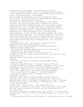 E pássaros! Ora um enorme tucano de bico maior que o
corpo e lindo papo amarelo. Ora um pica-pau, que interrompia
o seu trabalho de bicar a madeira de um tronco para atentar no
menino com interrogativa curiosidade.
Até um bando de macaquinhos ele viu, pulando de galho
em galho com incrível agilidade e balançando-se, pendurados
pela cauda, como pêndulos de relógio.
Pedrinho foi caminhando pela mata adentro até alcançar
um ponto onde havia uma água muito límpida, que corria,
cheia de barulhinhos mexeriqueiros, por entre velhas pedras
verdoengas de limo. Em redor erguiam-se os esbeltos samam
baiuçus, esses fetos enormes que parecem palmeiras. E quanta
avenca d.e folhagem mimosa, e quanto musgo pelo chão!
Encantado com a beleza daquele sítio, o menino parou
para descansar. Juntou um monte de folhas caídas; fez cama;
deitou-se de barriga para o ar e mãos cruzadas na nuca. E ali
ficou num enlevo que nunca sentira antes, pensando eir mil
coisas em que nunca pensara antes, seguindo o voo silencioso
das grandes borboletas azuis e embalando-se com o chiar das
cigarras.
De repente notou que o saci dentro da garrafa fazia
gestos de quem quer dizer qualquer coisa
Pedrinho não se admirou daquilo. Era tão natural que o
capetinha afinal aparecesse ...
- Que aconteceu que está assim inquieto, meu caro saci?
- perguntou-lhe em tom brincalhão.
- Aconteceu que este lugar é o mais perigoso da
floresta; e que se a noite pilhar você aqui, era uma vez o neto
de Dona Benta ...
Pedrinho sentiu um arrepio correr-lhe pelo fio da
espinha.
- Por quê? - perguntou, olhando ressabia-damente para
todos os lados.
- Porque é justamente aqui o coração da mata, ponto de
reunião de sacis, lobisomens, bruxas, caiporas e até da imula
sem-cabeça. Sem meu socorro você estará perdido, porque
não há mais tempo para voltar para casa, nem você sabe o ca
minho. Mas o meu auxílio eu só darei sob uma condição...
- Já sei, restituir a carapuça - adiantou Pedrinho.
- Isso mesmo. Restituir-me a carapuça e com ela a
liberdade. Aceita?
Pedrinho sentia muito ver-se obrigado a perder um saci
que tanto lhe custara a apanhar, mas como não tinha outro
remédio senão ceder, jurou que o libertaria se o saci o livrasse
dos perigos da noite e pela manhã o reconduzisse, são e salvo,
à casa de Dona Benta.
- Muito bem - disse o saci. - Mas nesse caso você
tem de abrir a garrafa e me soltar. Terei assim mais facilidade
de ação. Você jurou que me liberta; eu dou minha palavra de
saci que mesmo
que esteja correndo um grande perigo não fugirei. E os dois foram
andando pela floresta. O saci levou Pedrinho para ver onde os sacis
nascem.
- vire-se moleque! Não posso lhe mostrar o segredo para abrir os gomes.
 