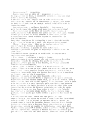 - Posso espiar? — perguntou.
- Espie, mas com um olho só - respondeu o saci. -
Se espiar com os dois, o sacizinho acorda e joga nos seus
olhos a brasa do pitinho.
O menino assim fez. Espiou com um olho só e viu um
sacizinho do tamanho de um camundongo já de pitinho aceso
na boca e carapucinha na cabeça. Estava todo encolhido no
fundo do gomo.
- Que galanteza! - exclamou Pedrinho. - Que pena o
povo lá de casa não estar aqui para ver esta maravilha!
- Esse sacizinho ainda fica aí durante quatro anos. A
conta da nossa vida dentro dos gomos são de sete anos. Depois
saímos para viver no mundo setenta e sete anos justos.
Alcançando essa idade viramos cogumelos venenosos, ou
orelhas-de-pau.
Pedrinho regalou-se de contemplar o sacizinho adormecido
e ali ficaria horas se o saci não puxasse pela manga.
- Chega - disse ele. - Vire-se de costas outra vez,
que é tempo de fechar a janelinha.
Pedrinho obedeceu, e quando de novo olhou não
conseguiu perceber no gomo do taquaruçu o menor sinal da
janelinha.
Justamente nesse instante um formidável miado de gato
feriu os seus ouvidos.
- É o jaguar! - exclamou o saci. - Trepe
depressa numa árvore, porque ele vem vindo nesta direção.
Pedrinho, tomado de pânico, fez gesto de su bir na
primeira árvore que viu à sua frente, un velho jacarandá
coberto de barbas-de-üau.
- Nessa, não! - berrou o saci. - É muito grossa; o
jaguar treparia atrás de nós. Temos que escolher uma de casca
bem lisa e tronco esguio. Aquele guarautã ali está ótimo -
concluiu, apontando para uma árvore bastante alta e magrinha
de tronco, que se via à esquerda.
Subiram. e nunca em sua vida Pedrinho subiu tão
depressa em uma árvore! Tinha a impressão de que o terrível
tigre dos sertões estava atrás dele, já de boca aberta, para o
engolir vivo. Mas era ilusão apenas, filha do medo, pois a fera
miou outra vez e o saci calculou pelo som que ainda deveria
estar a cem metros dali. Pedrinho ajeitou-se como pôde numa
forquilha da árvore, lá ficando quietinho ao lado do saci.
Preparou-se para ver uma fera sobre a qual vivia falando
mas sem ter a respeito ideia justa. Ia ver a famosa onça-
pintada, esse gatão que muito lembra a pantera das matas da
Índia.
O miado soou de novo, desta vez bem perto, e logo
depois surgiu, por entre as folhas a cabeia de uma formidável
onça-pintada. Era um animal de extrema beleza, quase tão
grande como o tigre de Bengala. Parou; farejou o ar. Depois
ergueu os olhos para a árvore. Dando com o menino e o saci
lá em cima, soltou um rugido de satisfação, como quem diz:
"Achei o meu jantar!" E tentou subir à árvore. Vendo que isso
lhe era impossível, sacudiu o tronco tão violentamente que
por um triz Pedrinho não veio abaixo, como se fosse jaca ma-
 