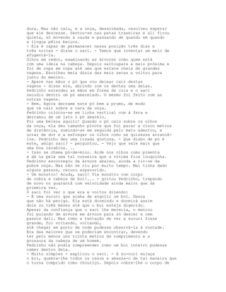 dura. Mas não caiu, e a onça, desanimada, resolveu esperar
que ele descesse. Sentou-se nas patas traseiras e ali ficou
quieta, só movendo a cauda e passando de quando em quando
a língua pêlos beiços.
- Ela é capaz de permanecer nessa posição três dias e
três noites - disse o saci. - Temos que inventar um meio de
afugentá-la.
Olhou em redor, examinando as árvores como quem está
com uma ideia na cabeça. Depois saltoupara a mais próxima e
foi de copa em copa até uma que estava cheia de grandes
vagens. Escolheu meia dúzia das mais secas e voltou para
junto do menino.
- Apare nas mãos o pó que vou deixar cair destas
vagens - disse ele, abrindo com os dentes uma delas.
Pedrinho estendeu as mãos em forma de cuia e o saci
sacudiu dentro um pó amarelado. O mesmo foi feito com as
outras vagens.
- Bem. Agora derrame este pó bem a prumo, de modo
que vá cair sobre a cara da onça.
Pedrinho colocou-se em linha vertical com á fera e
derramou de um jato o pó amarelo.
Foi uma beleza aquilo! Quando o pó caiu sobre os olhos
da onça, ela deu tamanho pinote que foi parar a cinco metros
de distância, sumindo-se em seguida pelo mato adentro, a
urrar de dor e a esfregar os olhos como se quisesse arrancá-
los. Pedrinho deu uma risada gostosa. - Que diabo de pó é
este, amigo saci? - perguntou. - Vejo que vale mais que
uma boa carabina. ..
- Isso se chama pó-de-mico. Arde nos olhos como pimenta
e dá na pele uma tal cosseira que a vítima fica louquinha.
Pedrinho escorregou da árvore abaixo, ainda a rir-se da
pobre onça. Mas não se riu por muito tempo. Mal tinha dado
alguns passos, recuou espavorido.
- Um monstro! Acuda, saci! Via monstro com corpo
de cobra e cabeça de boi!... - gritou Pedrinho, trepando
de novo no guarantã com velocidade ainda maior que da
primeira vez.
O saci foi ver o que era e voltou dizendo:
- É uma sucuri que acaba de engolir um boi. Desça
que não há perigo. Ela está dormindo e dormirá assim
dois ou três meses até que o boi esteja digerido.
Apesar da confiança que o saci lhe merecia, o menino
foi pulando de árvore em árvore para só descer a cem
passos dali. Mas como a tentação de ver a sucuri fosse
grande, foi voltando, voltando,
até chegar em ponto de onde pudesse observá-la à vontade.
Era das maiores que se poderiam encontrar, devendo
ter pelo menos uns trinta metros de comprimento e a
grossura da cabeça de um homem.
Pedrinho não podia compreender como um boi inteiro pudesse
caber dentro dela.
- Muito simples - explicou o saci. - A su-curi enlaça
o boi, quebra-lhe todos os ossos e amassa-o de tal maneira que
o torna comprido como chouriço. Depois cobre-lhe o corpo de
 