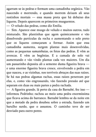 agarram-se às pedras e formam uma camadinha orgânica. Vão
nascendo e morrendo, e quando morrem deixam ali seus
restinhos mortais — essa massa preta que há debaixo dos
liquens. Depois aparecem os primeiros musguentos.
— O veludo das pedras, como diz Emília.
— Sim. Aparece esse musgo de veludo e muitos outros, tudo
misturado. São plantinhas que agem quimicamente e vão
dissolvendo partículas da rocha e aumentando o solo preto
que os liquens começaram a formar. Assim que essa
camadinha aumenta, surgem plantas mais desenvolvidas,
como as pequenas samambaias, os fetos das pedras. E vêm as
avencas. E vêm as begônias. E a camada de solo vai
aumentando e vão vindo plantas cada vez maiores. Um dia
um passarinho deposita ali a semente duma figueira brava —
e uma enorme figueira brava cresce, envolvendo a pedra em
que nasceu, e as vizinhas, nos terríveis abraços das suas raízes.
Se há nas pedras algumas rachas, essas raízes penetram por
elas, e, como vão engrossando, vão fazendo pressão até que
separam em duas ou mais partes a pedra rachada.
— A figueira grande, lá perto da casa do Barnabé, fez isso —
informou Pedrinho; rachou ao meio uma pedra enormíssima
que ficava acima do barranco. Barnabé lembra-se da noite em
que a metade da pedra desabou sobre a estrada, fazendo um
barulho surdo, que o assustou. O caminho teve de ser
desviado para outro ponto.
 