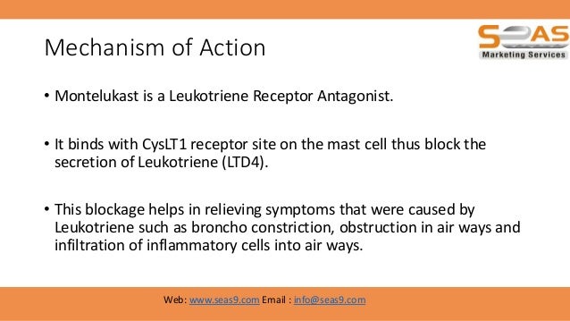 Montelukast Asthma Allergy