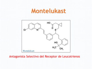 Montelukast
Antagonista Selectivo del Receptor de Leucotrienos
 