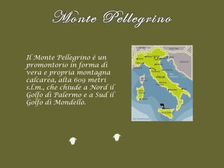 Il Monte Pellegrino è un promontorio in forma di vera e propria montagna calcarea, alta 609 metri s.l.m., che chiude a Nord il Golfo di Palermo e a Sud il Golfo di Mondello.   Monte Pellegrino 