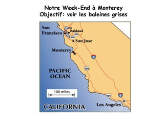 Notre Week-End à Monterey Objectif: voir les baleines grises 