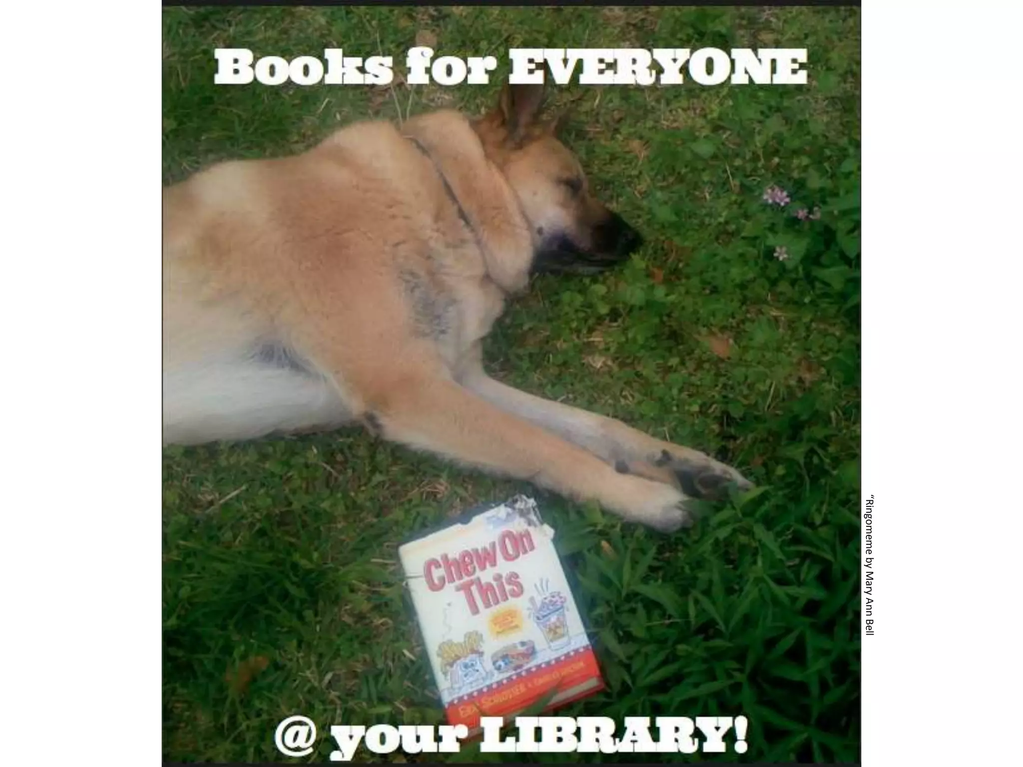 “Ringomeme by Mary Ann Bell 
 