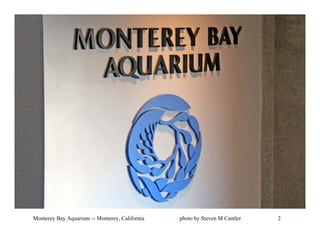 Monterey Bay Aquarium -- Monterey, California   photo by Steven M Cantler   2
 