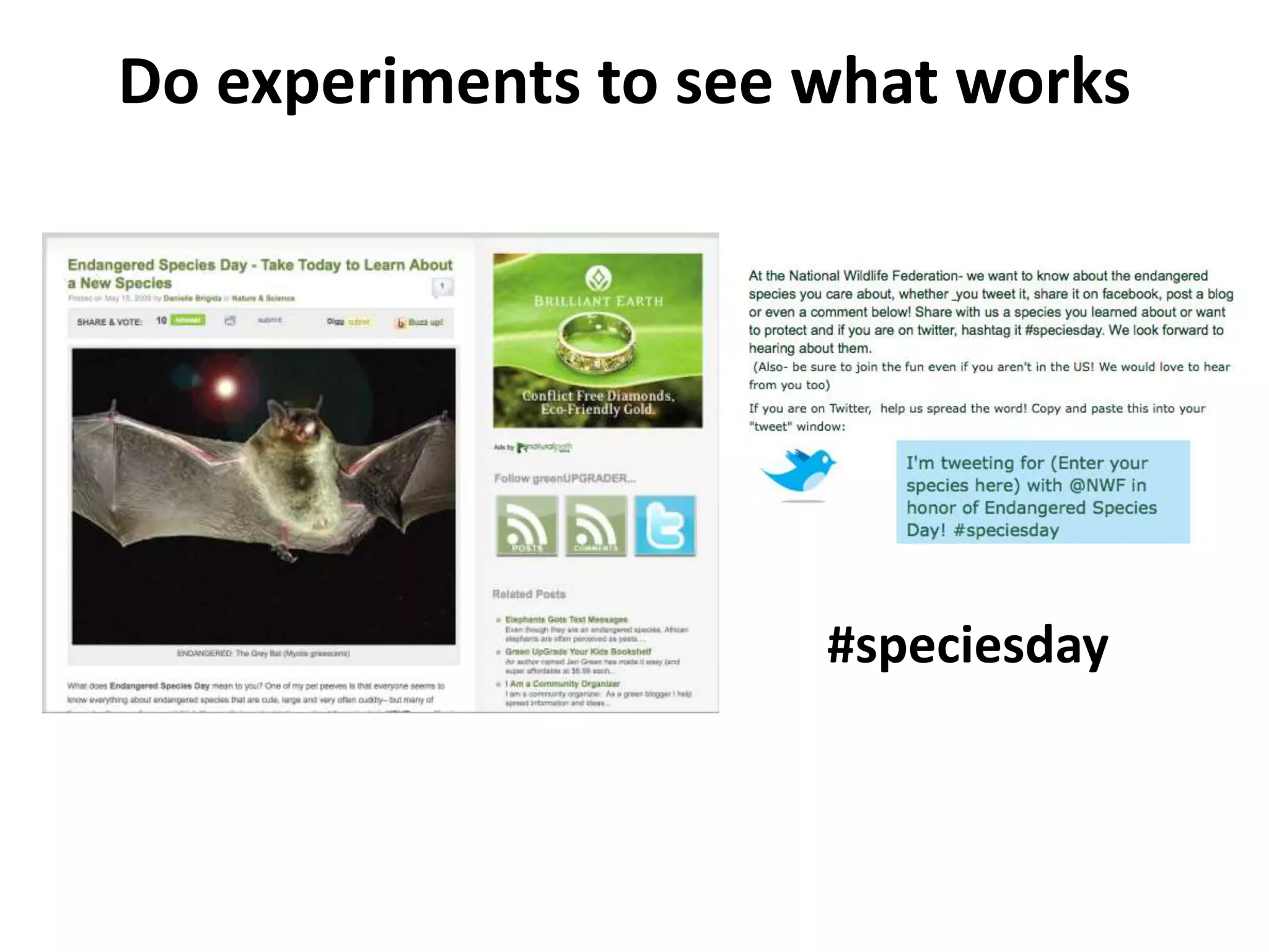 Do experiments to see what works#speciesday