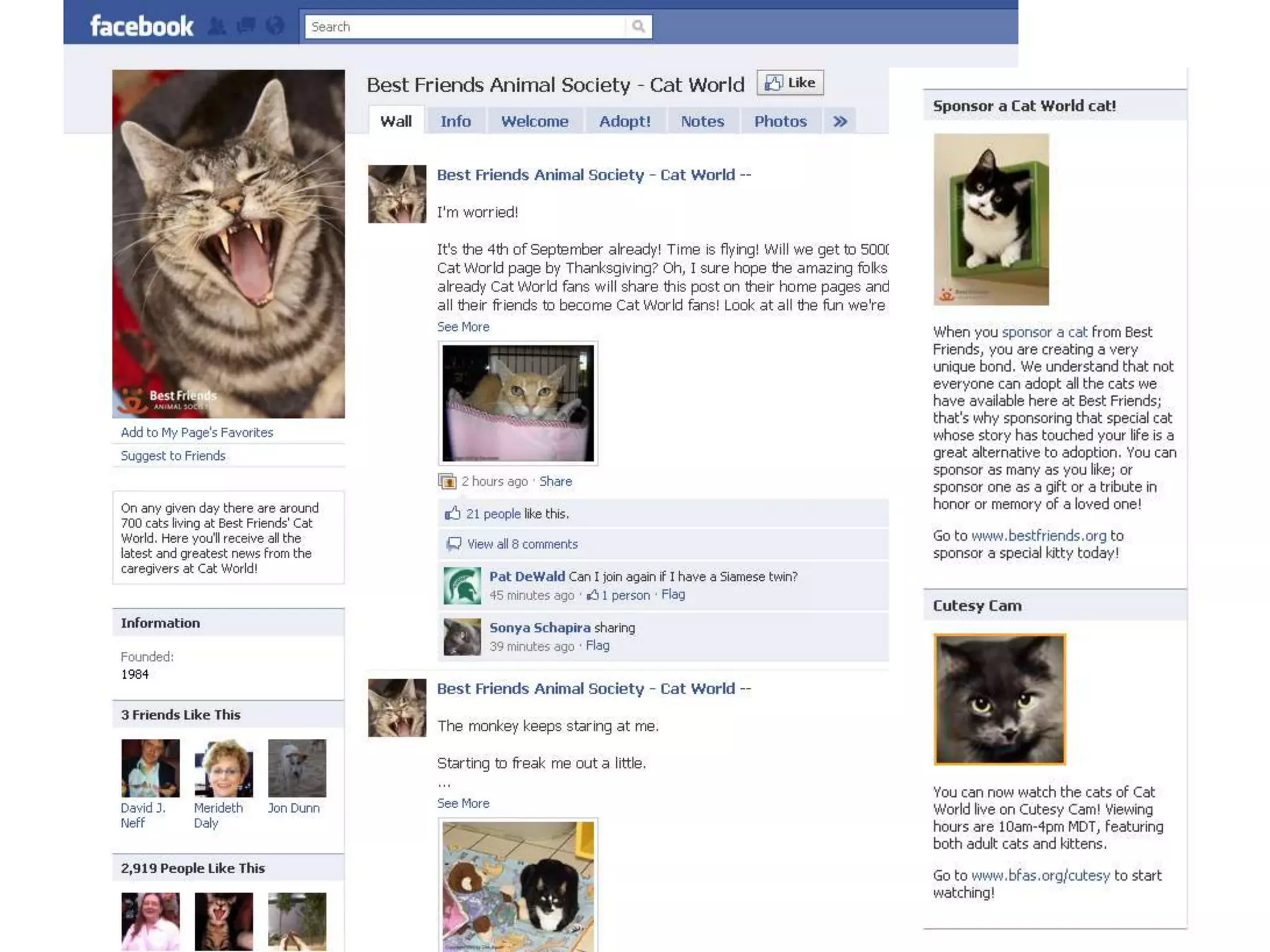 Oh Look, A Squirrel!